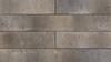 Nueva® Step product from Brampton Brick in Champagne